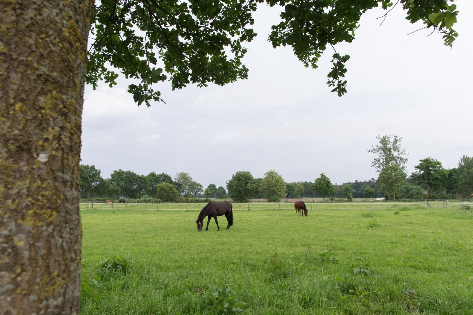 Landhuus Laurenz Gronau  Exteriör bild