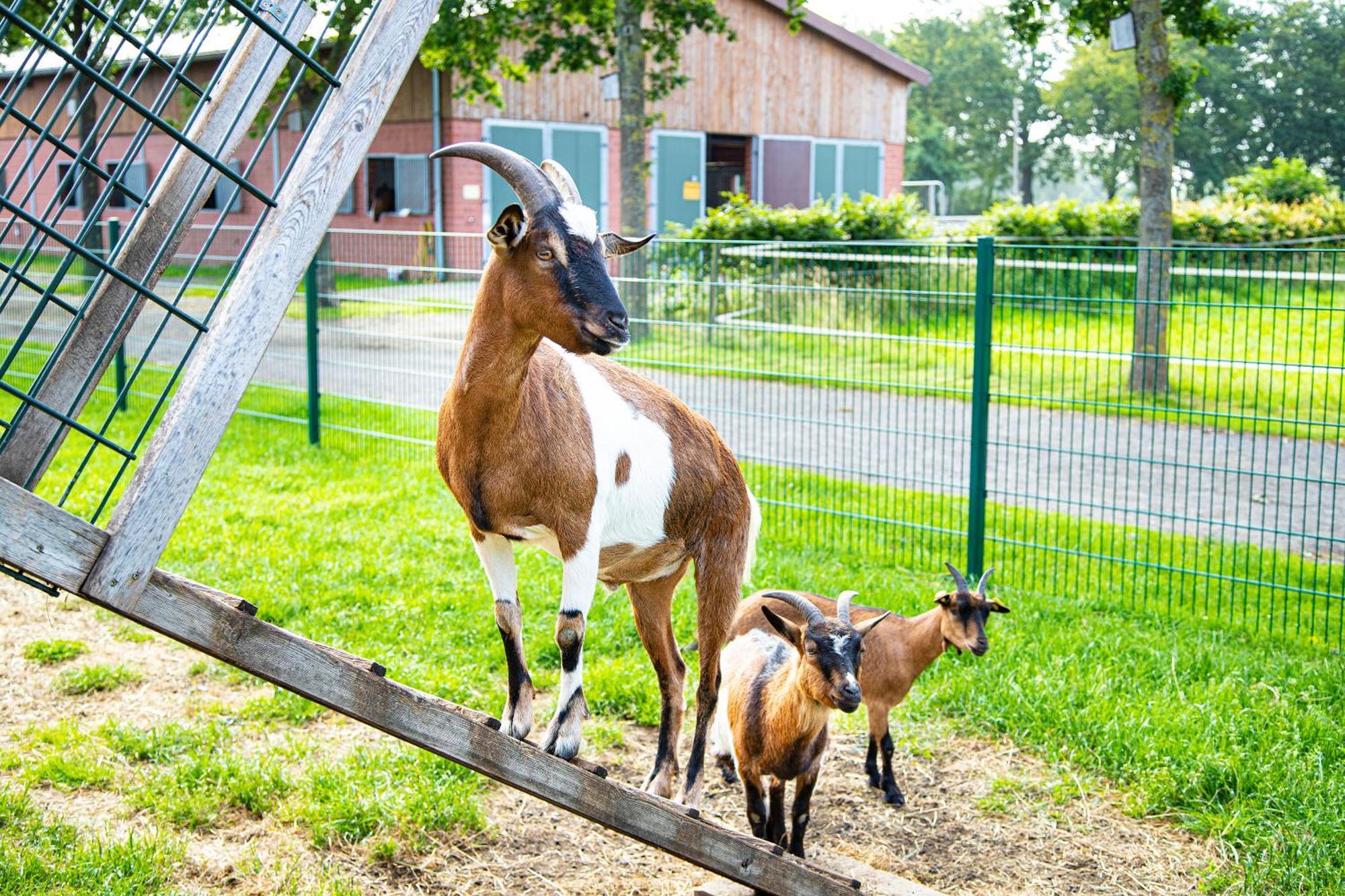Landhuus Laurenz Gronau  Exteriör bild